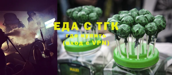 индика Горно-Алтайск