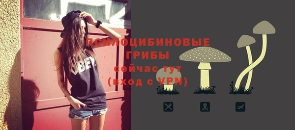 кокс Горнозаводск