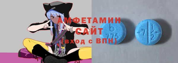 индика Горно-Алтайск