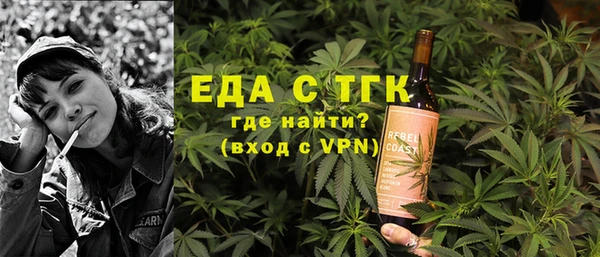 индика Горно-Алтайск