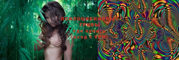 MESCALINE Вяземский