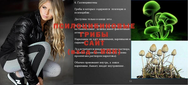 герыч Горняк