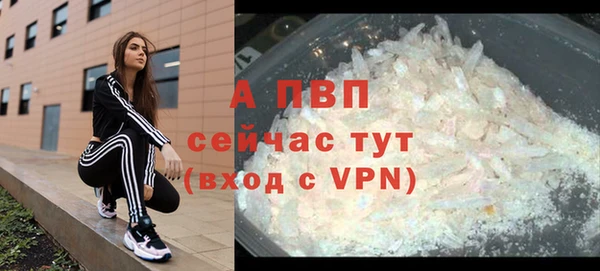 PSILOCYBIN Вязьма