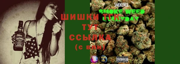 индика Горно-Алтайск