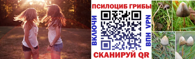 Псилоцибиновые грибы Psilocybine cubensis  Купить закладки  Нововоронеж 
